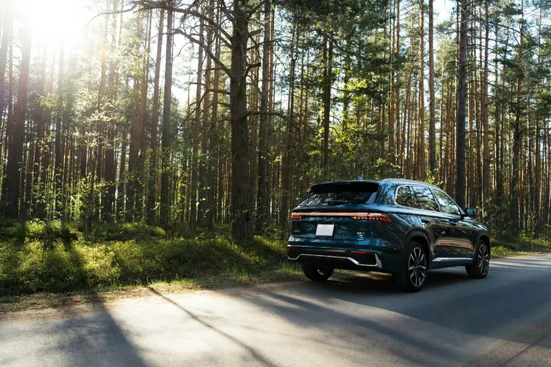 Dark blue SUV parked on a sunlit forest road near Kingston